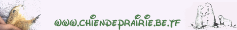 http://www.chiendeprairie.de.tf