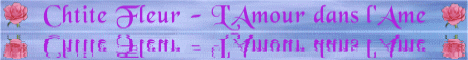 http://chtite-fleur.dyndns.org/