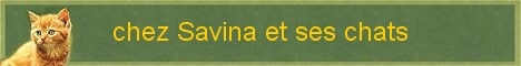 http://leschatsetnous.populus.ch/