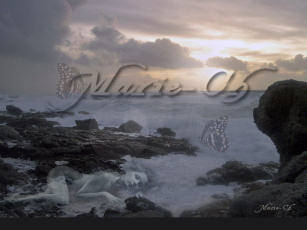ecran femme sur la mer