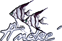 andré